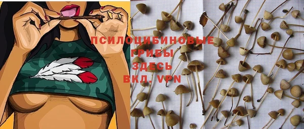 МДПВ Алексеевка