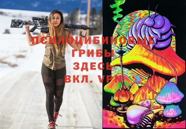 МДПВ Алексеевка